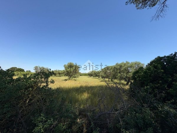 terreno agricolo in vendita a Gioia del Colle