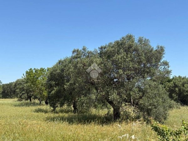 terreno agricolo in vendita a Gioia del Colle