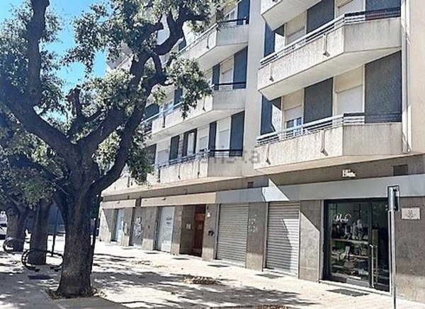 appartamento in vendita a Gioia del Colle in zona Monte Sannace
