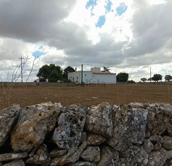 esavano in vendita a Gioia del Colle in zona Monte Sannace