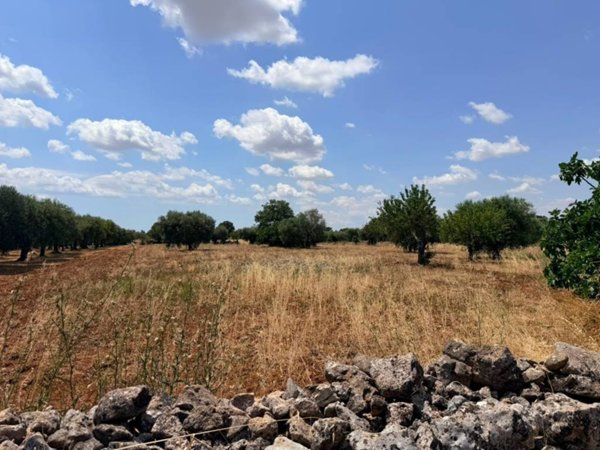 terreno agricolo in vendita a Gioia del Colle