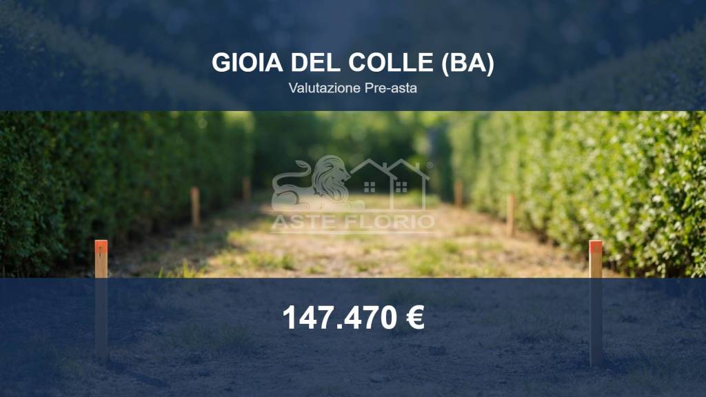 terreno agricolo in vendita a Gioia del Colle in zona Monte Sannace