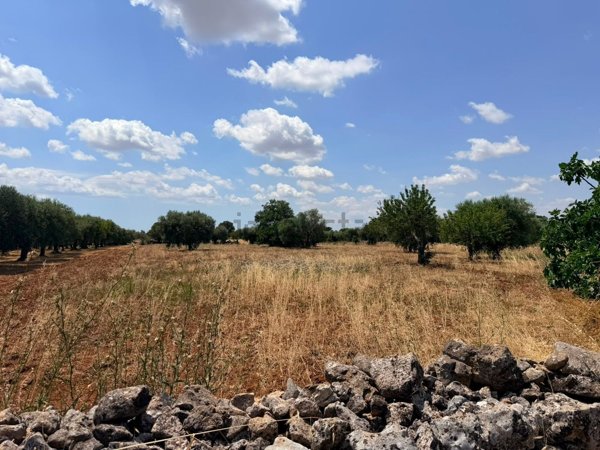 terreno agricolo in vendita a Gioia del Colle