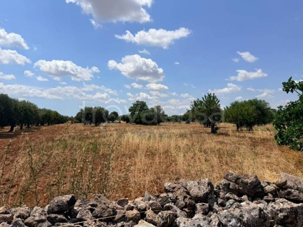 terreno agricolo in vendita a Gioia del Colle