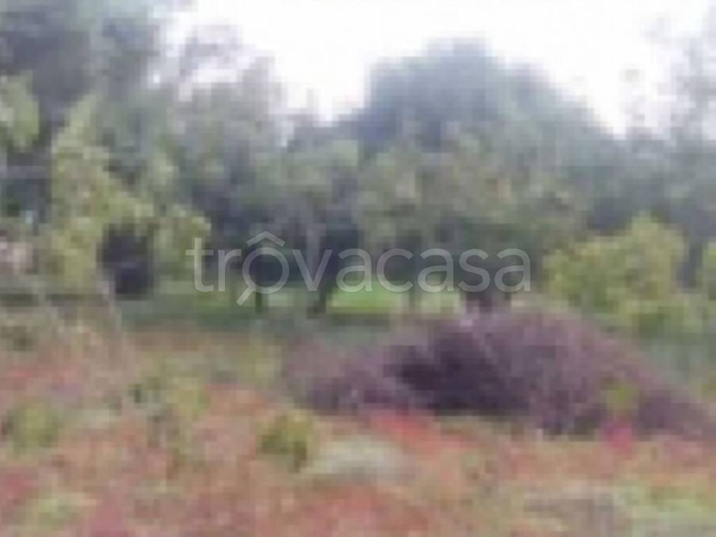 terreno agricolo in vendita a Gioia del Colle in zona Corvello