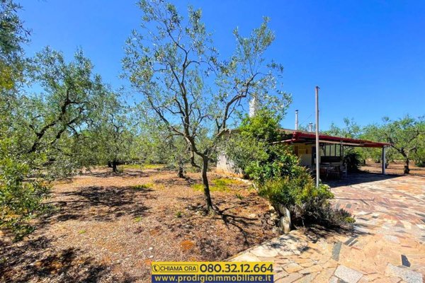terreno agricolo in vendita a Giovinazzo