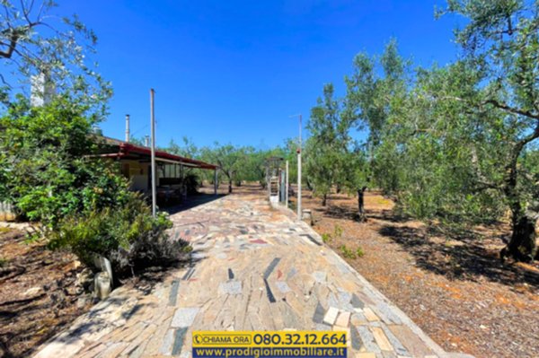 casa indipendente in vendita a Giovinazzo