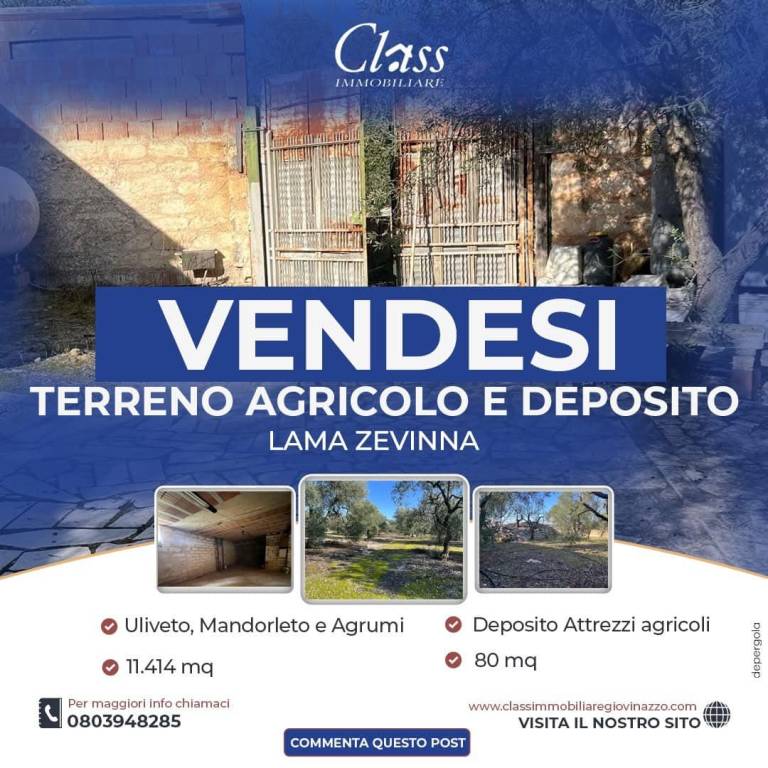 terreno agricolo in vendita a Giovinazzo