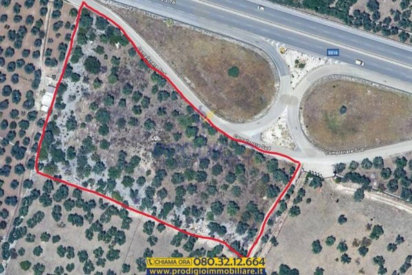 terreno agricolo in vendita a Giovinazzo