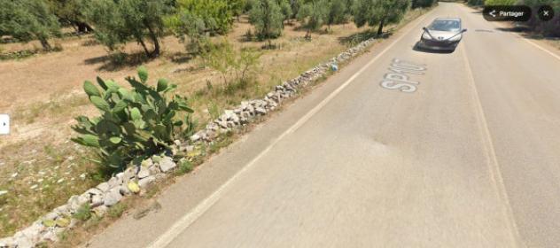 terreno agricolo in vendita a Giovinazzo