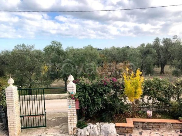 negozio in vendita a Giovinazzo