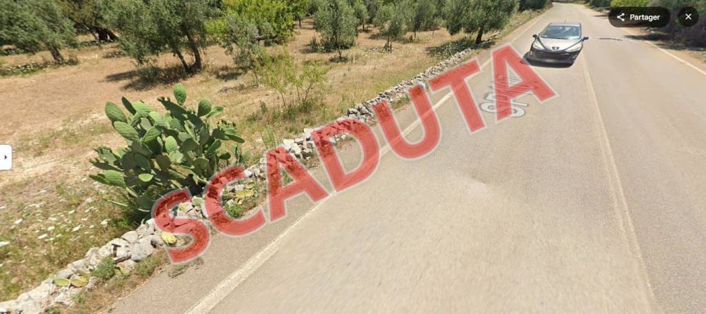 terreno agricolo in vendita a Giovinazzo