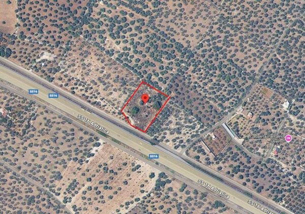 terreno agricolo in vendita a Giovinazzo