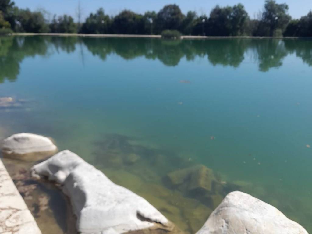 casa indipendente in vendita a Giovinazzo