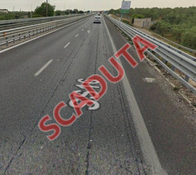 terreno agricolo in vendita a Giovinazzo