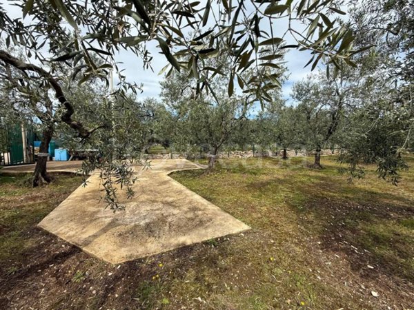 terreno agricolo in vendita a Giovinazzo