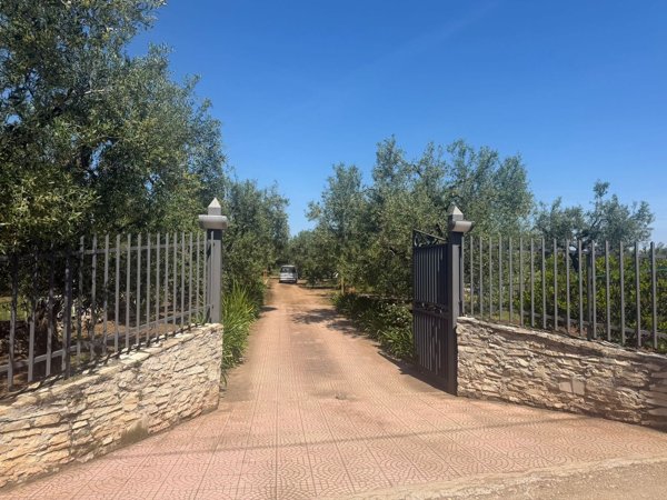 terreno agricolo in vendita a Giovinazzo