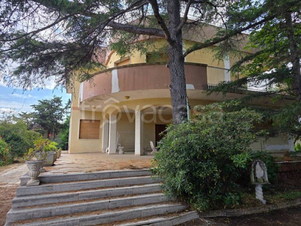 casa indipendente in vendita a Giovinazzo in zona San Matteo