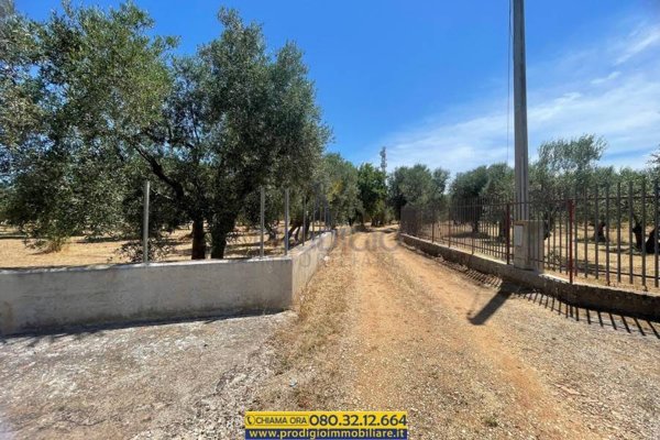 terreno agricolo in vendita a Giovinazzo