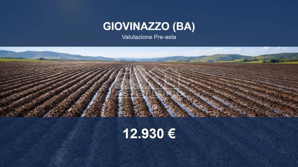terreno agricolo in vendita a Giovinazzo