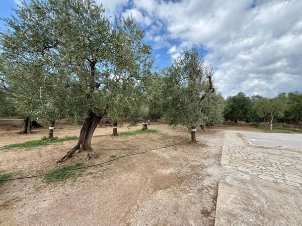 terreno agricolo in vendita a Giovinazzo
