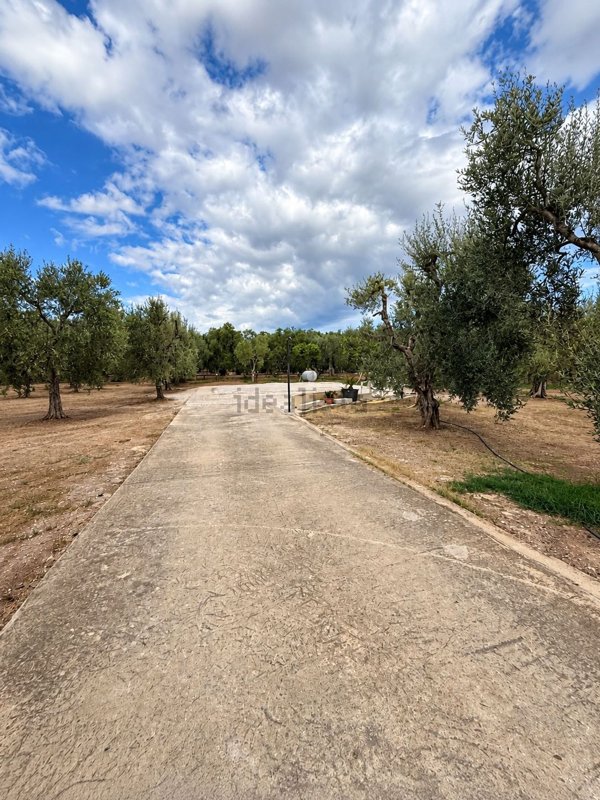 terreno agricolo in vendita a Giovinazzo