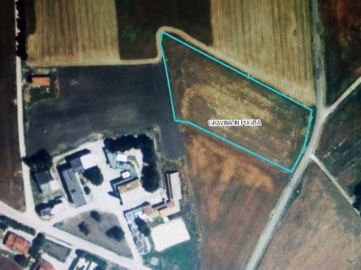 terreno agricolo in vendita a Gravina in Puglia in zona Dolcecanto