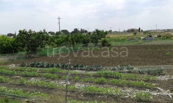 terreno agricolo in vendita a Gravina in Puglia