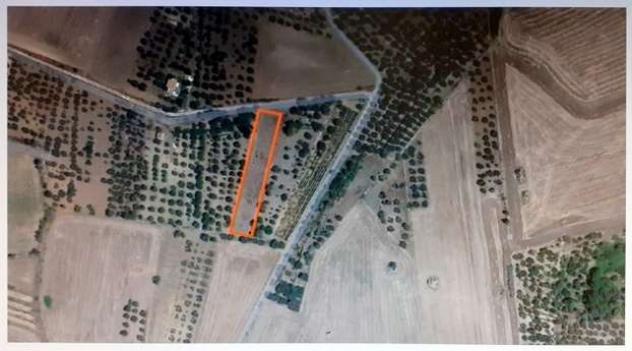 terreno agricolo in vendita a Gravina in Puglia
