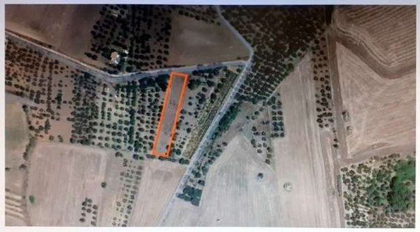 terreno agricolo in vendita a Gravina in Puglia