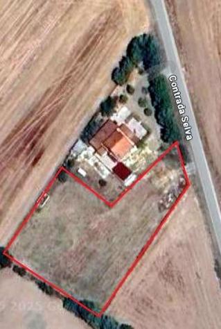 terreno agricolo in vendita a Gravina in Puglia