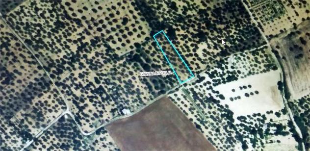 villa in vendita a Gravina in Puglia