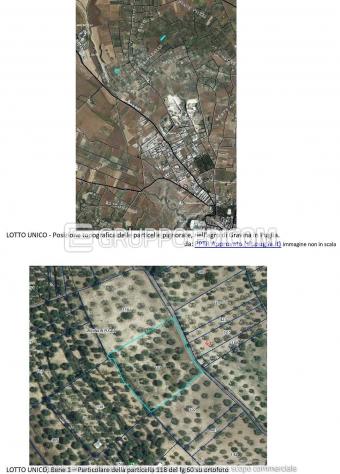 terreno agricolo in vendita a Gravina in Puglia
