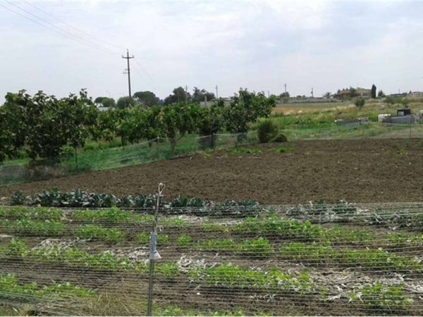terreno agricolo in vendita a Gravina in Puglia