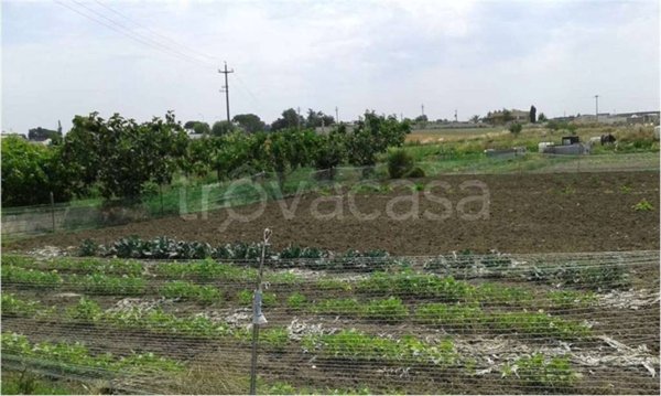 terreno agricolo in vendita a Gravina in Puglia