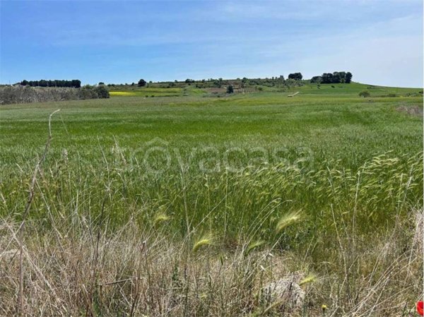 terreno agricolo in vendita a Gravina in Puglia