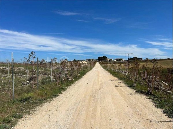 terreno agricolo in vendita a Gravina in Puglia in zona Murgetta