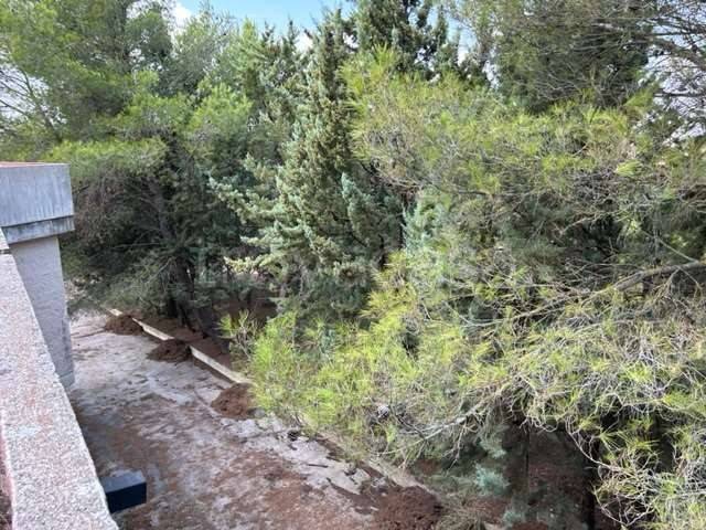 negozio in vendita a Gravina in Puglia