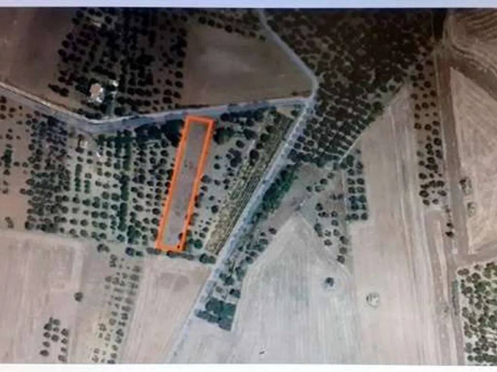terreno agricolo in vendita a Gravina in Puglia