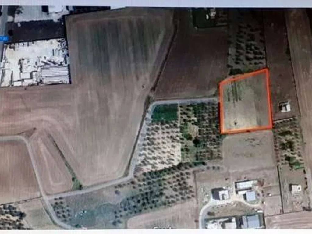 terreno agricolo in vendita a Gravina in Puglia