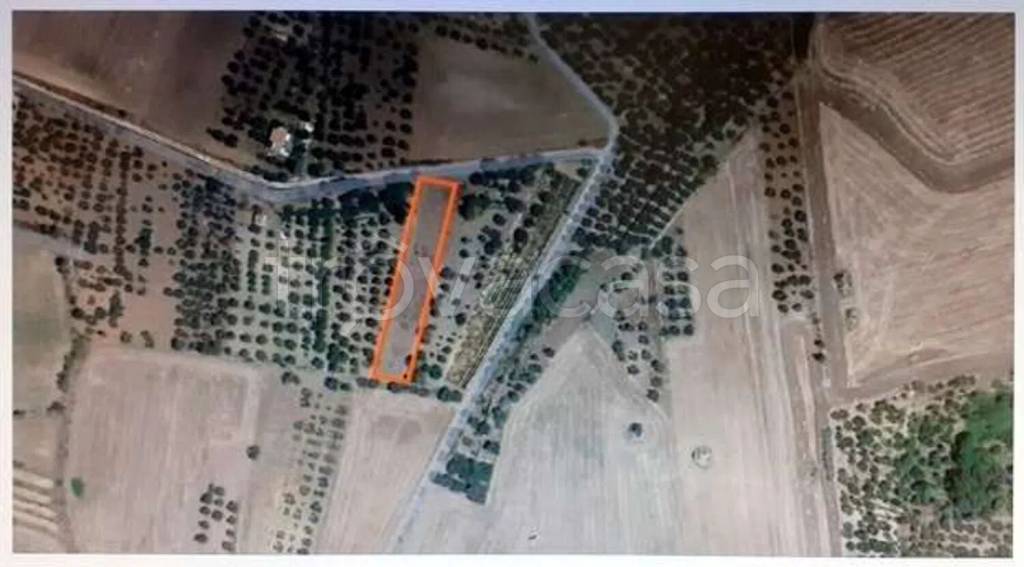 terreno agricolo in vendita a Gravina in Puglia
