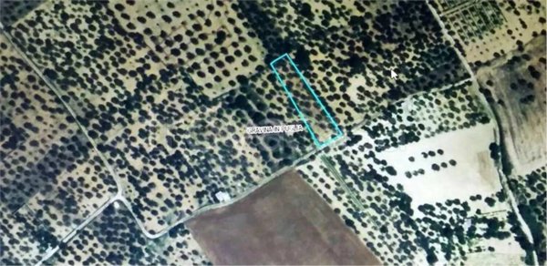 terreno agricolo in vendita a Gravina in Puglia