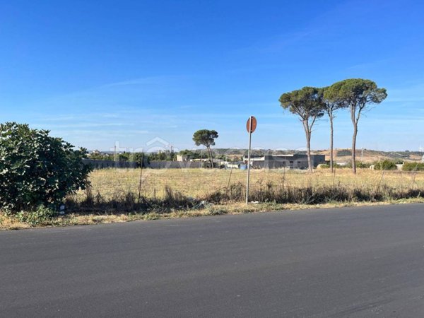 terreno agricolo in vendita a Gravina in Puglia in zona Centro Città