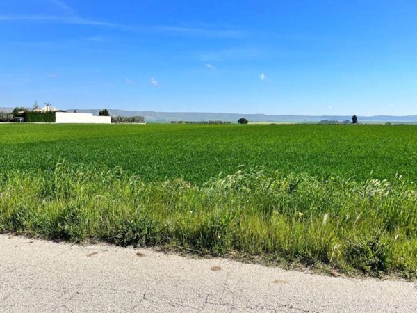 terreno agricolo in vendita a Gravina in Puglia