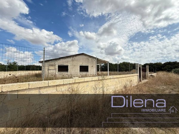 casa indipendente in vendita a Gravina in Puglia