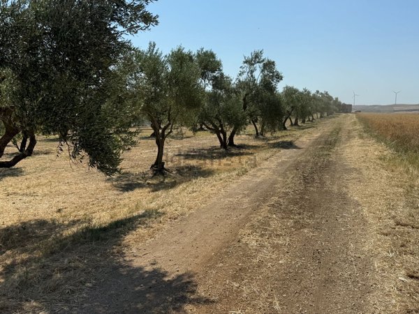 terreno agricolo in vendita a Gravina in Puglia in zona Dolcecanto