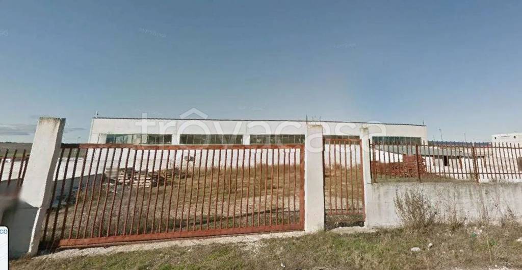 terreno agricolo in vendita a Gravina in Puglia