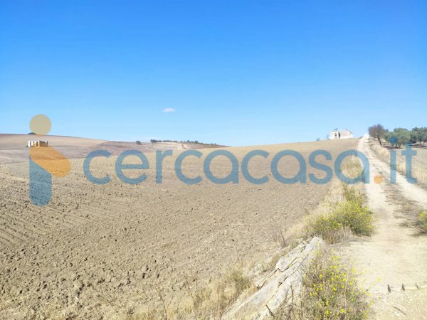 terreno agricolo in vendita a Gravina in Puglia