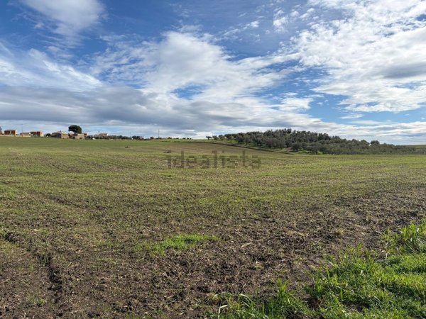 terreno agricolo in vendita a Gravina in Puglia in zona Pantanella