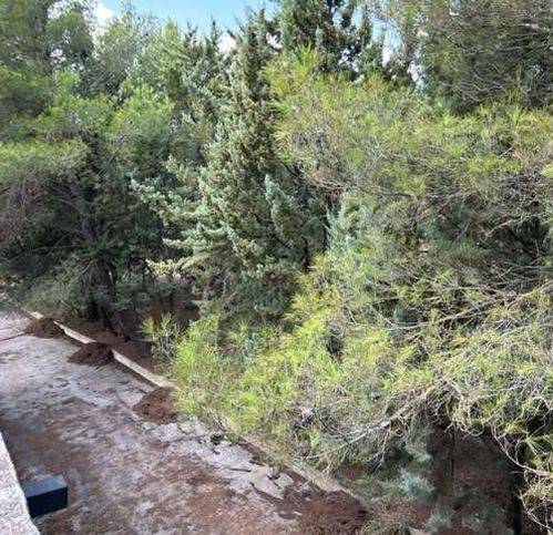 casa indipendente in vendita a Gravina in Puglia